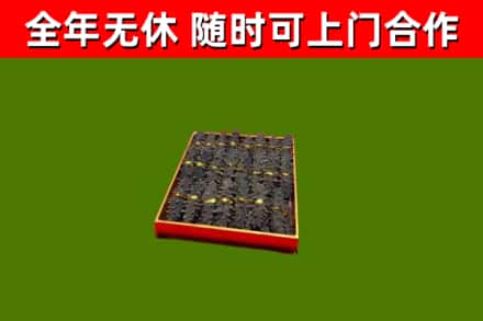 四会市回收海参